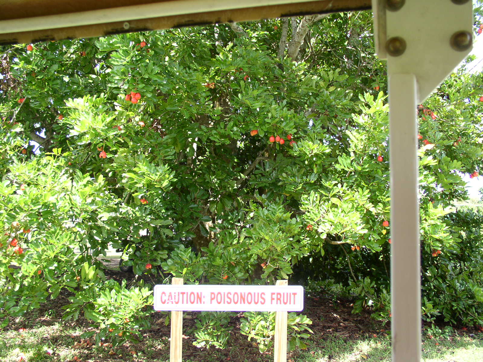 photo1